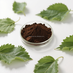 食品グレード10% 天然桑葉エキスMorus Albaハーブ植物エキス粉末状ドラムまたはボトル入り - Product Image 3