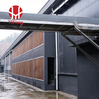Cage à poules de type H pour poules pondeuses, alimentation automatique, collecte des œufs, élimination du fumier, équipement d'élevage avicole, poulailler