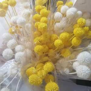 Bouquet <span class=keywords><strong>séché</strong></span> Fleurs préservées Colorées Leonotis Snow Echinops Thistle pour arrangement floral - Product Image 4