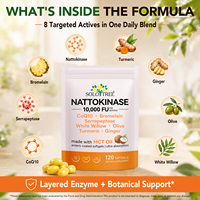 SOLOTREE 120 Gélules de Nattokinase, Compléments Alimentaires, Capsules de Nattokinase 10000 FU, Gélules de Nattokinase de Qualité Supérieure
