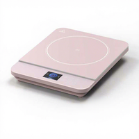 Cuisinière à induction électrique portable à brûleur unique pour usage domestique et hôtelier avec boîtier en plastique et écran couleur