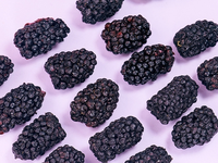 Groothandel Gedroogde Hele Zwarte Bessen 100% Natuurlijk Zonder Toegevoegde Suiker Zonder Additieven Private Label Bulk voor Snacks Bakken Granen
