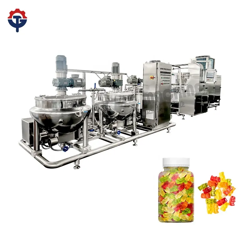 TG company manufacturer specializes in producing snack machines and candy manufacturing machines