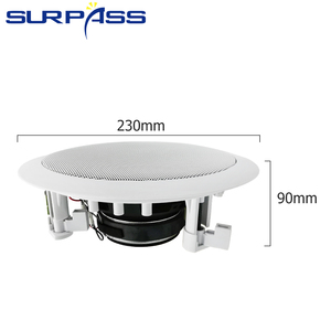 Btc42 Tốt Nhất Bán Class D Khuếch Đại Surround Âm Thanh Phòng Khách Hoạt Động Bt Trong Loa Trần - Product Image 4