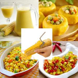 Éplucheur <span class=keywords><strong>de</strong></span> maïs à long manche en acier inoxydable, outil <span class=keywords><strong>de</strong></span> séparation rapide et facile pour éliminer les épis <span class=keywords><strong>de</strong></span> maïs - Product Image 3