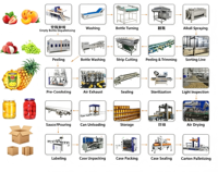 Automatische fruitconserven productielijn, verwerkings- en verpakkingsmachines voor gele perziken, ananas, aardbeien, sinaasappels in blik