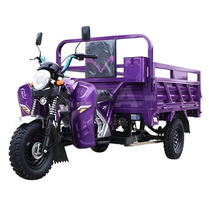 Triciclo de Pasajeros de Gasolina Cerrado de 250cc, Vehículo de 3 Ruedas con Cabina para Uso en Todo Clima - Product Image 1