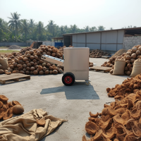 Machine commerciale de décorticage et d'épluchage des coques dures de noix de coco sèches et vieilles