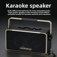 Altavoz Portátil de Cuero Retro de Lujo con Sistema PA, Salida de Audio de 3 Vías, BT 5.3, Conexión TWS, para Fiestas en Casa, Karaoke, Cumpleaños
