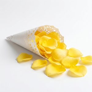 Vente d'usine : Pétales de fleurs naturelles parfumées, biologiques et préservées, faits à la main, pour le Nouvel An chinois, Noël, boîte carrée 10g, mariage - Product Image 3
