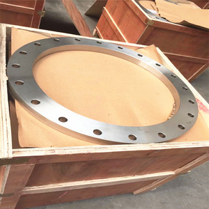 Рисование под заказ из нержавеющей стали SS 304 316 EN1092-1 типа 01 PN10 PN16 DN300 <span class=keywords><strong>PL</strong></span> FF плоская поверхность Незакрепленная пластина Фланцевая пластина фланец - Product Image 4