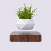 Pot de plante en lévitation rotatif avec ornement de bureau pot de plante flottant plantable