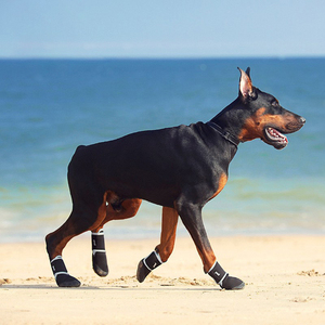Mignon classique Style <span class=keywords><strong>chien</strong></span> chaussures chaussettes solide motif anti-dérapant patte Protection coussinets imperméable - Product Image 2
