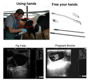 Price Ecografo Animal Veterinary Ultrasound for Cattle Pig Sheep Pregnancy Ultrasound Scan Veterinary Ultrasound Scanner/machine - Product Image 6