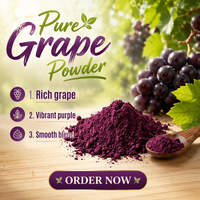 Bulk Acai Bessenpoeder Natuurlijk Superfood Fruitpoeder Rijk aan Anthocyanen voor Smoothies en Voedingssupplementen OEM ODM