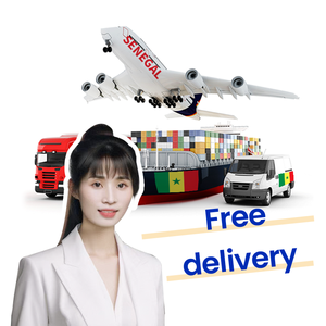 Китайский Шэньчжэнь DHL & <span class=keywords><strong>FedEx</strong></span>, агент по доставке, Сенегал, торговый агент DDP, воздушный морской экспедитор в Сенегал - Product Image 6