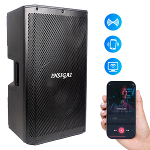 Wholesale <strong>Large</strong> 15 Inch Stage Blue Tooth Portable <strong>Speakers</strong> System DSP Amplifier Professional Active Wireless <strong>bluetooth</strong> <strong>Speaker</strong> - Product Image 1