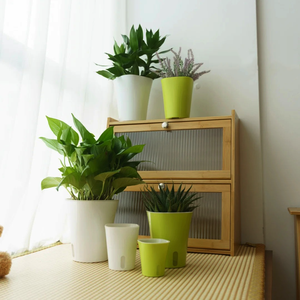 Maceta de Plástico de 3/4/5/6/9 Pulgadas para Plantas Suculentas, con Sistema de Riego Automático de 2 Capas, para Hogar y Jardín - Product Image 6