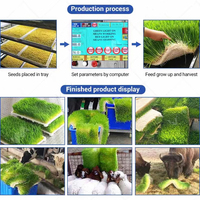 Ferme en conteneur maritime en acier de 40 pieds à faible coût pour la culture hydroponique de micro-légumes et de fourrage avec système de contrôle intelligent