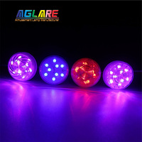 E14 45mm Parcs à Thème Cabochon Clair 24V LED Grande Roue Amusement Lumière Automatique RVB Lumières