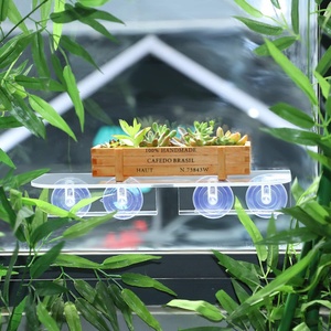Acrylic Ledge Suction Cup <strong>Window</strong> <strong>Shelf</strong> Acrylic Plant <strong>Window</strong> <strong>Shelf</strong> Indoor <strong>Window</strong> Plant <strong>Shelf</strong> - Product Image 4