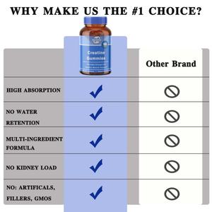 Venta al por Mayor OEM - Personalizable - Gomitas de Creatina - Creatina Monohidrato - Apoyo Muscular, Aumento de Energía - Sin Azúcar - Product Image 4