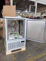 Congélateur à air pulsé commercial à température unique, congélation ultra-rapide, en acier inoxydable, pour la restauration, 10 plateaux, automatique