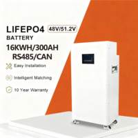 Batterie de stockage d'énergie 51,2 V 16 kWh montée sur rack, alimentation de secours fiable pour système solaire résidentiel