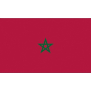 Готовый к отправке 100% полиэстер 3 Х5 футов в наличии марокканский Национальный марокканский флаг мароко Марокко - Product Image 1