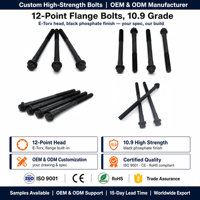Vis à bride personnalisées à 12 points, grade 10.9, tête E-Torx, phosphate noir, pour moteur automobile OEM ODM