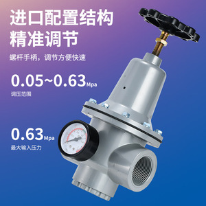 Vanne de réduction de pression pneumatique Liyuan 1/2 pouce pour régulateur de gaz et traitement d'air comprimé - Product Image 1