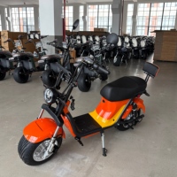 Feiwo X21 İki Tekerlekli Elektrikli Scooter 1000W/2000W Dijital Şişman Lastikli Disk Frenli Tam Süspansiyonlu 200kg Taşıma Kapasiteli