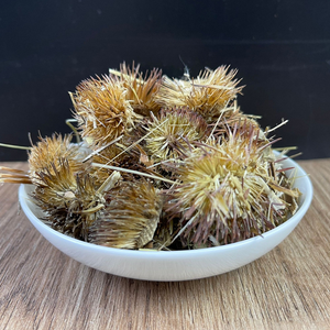 <span class=keywords><strong>Echinacea</strong></span> Angustifolia Wurzel Wild crafted Kräutertee für die Immun gesundheit - Product Image 4