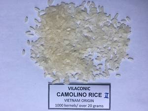 Textura dura del estilo seco de Camolino/arroz de Calrose de Vietnam de la etiqueta privada del OEM PARA LA Sra. Daisy de la exportación - Product Image 6