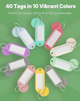 Etiquetas de Plástico de Alta Gama con Anillo Divisor y Ventana para Etiquetas, Colores Surtidos, Identificadores de Llaves para Organización Profesional, RTS