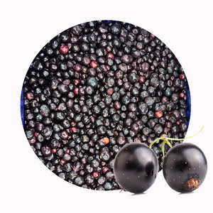 Ribes Nero Surgelato IQF Premium |   All'ingrosso |   Purezza 99,9% (Senza Foglie/Steli) |   Grado Sortex |   Pronto per la Lavorazione |   Approvato BRC - Product Image 6