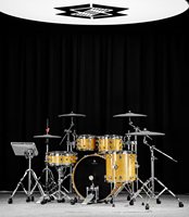 SOUNDWAVE MASTER Pro Kit électronique avec pads réglables, finition laquée durable, bois de bouleau, basses puissantes, pratique professionnelle