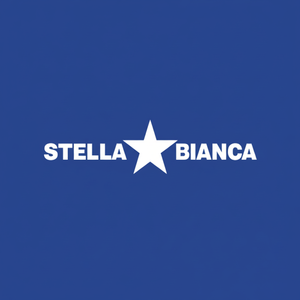 HSS rotativo Cutter Art. 25 Fig.21 stella bianca 0250212 sferica per fresatrici per intaglio del legno scatola diametro gambo 3.175mm - Product Image 1