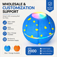 Großhandel Q10 LED Interaktiver Haustierball ETPU Bissfester Hundespielzeug Smart Leuchtendes Haustierspielzeug mit 3 Vibrationsmodi OEM ODM