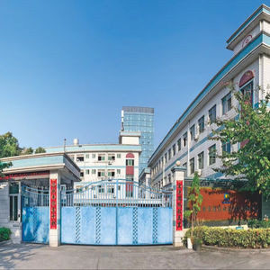 Prensa Punzonadora Manual de Doble Plataforma con Motor, Opciones de Voltaje 110V/220V/380V para Aplicaciones en Alimentos, Bebidas y Textiles - Product Image 3