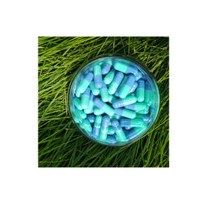 Kapsul kosong <span class=keywords><strong>Gelatin</strong></span> ikan murni bersertifikat Halal, alternatif untuk <span class=keywords><strong>Gelatin</strong></span> Bovine (B) - Product Image 3