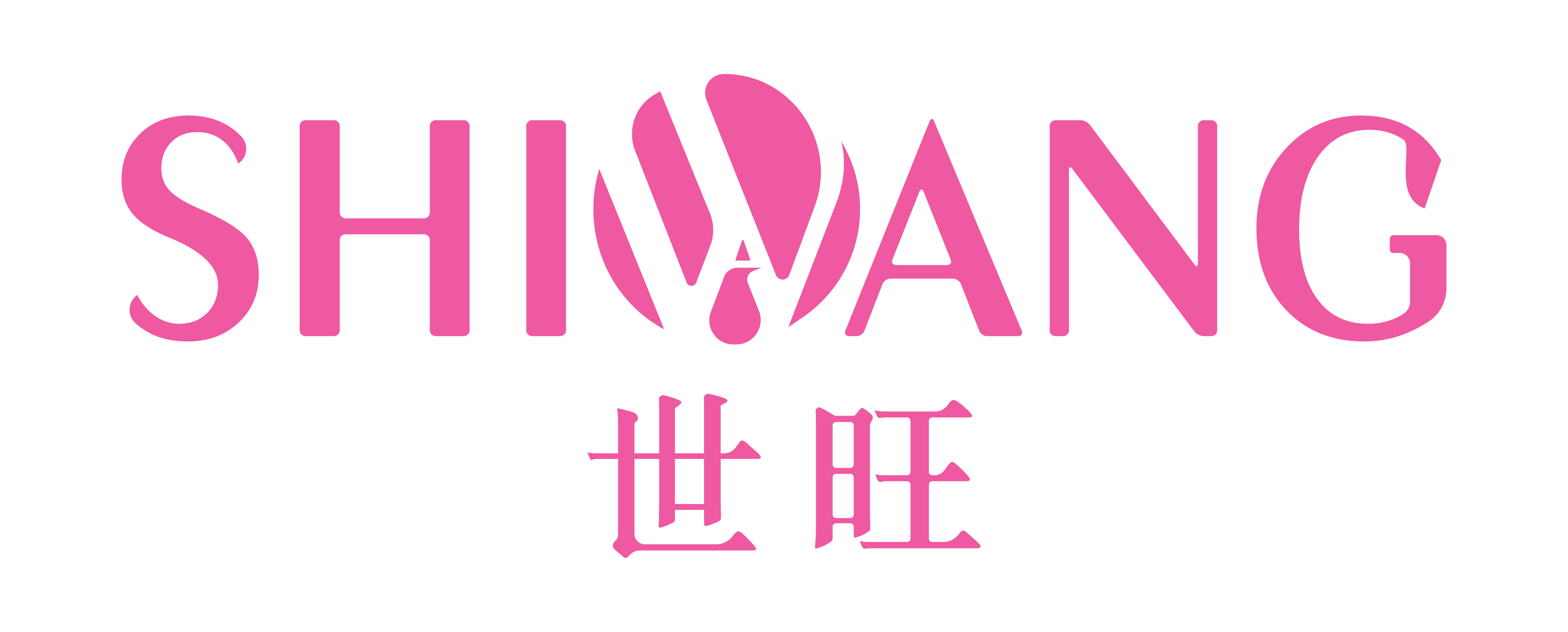 Huizhou City Shiwang Metal & Plastic Technology Co., Ltd. logo