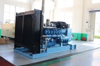 Nuevo Grupo Electrógeno Diésel Industrial Weichai Baudouin de 500kw 600kw 800kw 1000kw 1500kw Kva