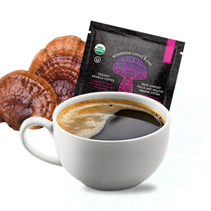 Condimento funzionale gallinella leone Maine bottone bianco Marcha e Ganoderma tripla criniera funghi Extra in polvere produttori - Product Image 5