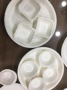 Tấm Giấy Dùng Một Lần Sâu/Bát Giấy Làm Giá Máy - Product Image 3