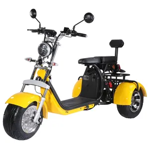 GaeaCycle Eu Warehouse 10 Inch Fat Tire 3 Wheels Electric Scooter Citycoco CP3 for Sale