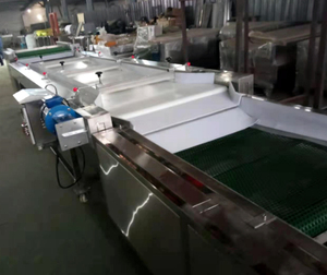 <span class=keywords><strong>3</strong></span> 학년 4 학년 신선한 과일 블루 베리 정렬 프로세스 라인 2 학년 새로운 블루 베리 정렬 기계 - Product Image 5