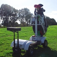 Chariot de golf électrique d'usine avec rapport d'essai, 15 ans d'expérience