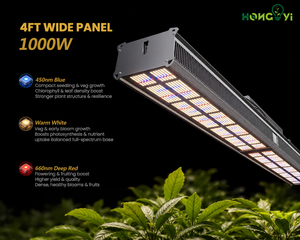 Lampada LED <span class=keywords><strong>per</strong></span> Coltivazione in Alluminio da 1000W, Pannello Largo 4FT, 3200mol/s PPF, Spettro Completo 660nm Rosso Profondo, Illuminazione Superiore <span class=keywords><strong>per</strong></span> Crescita Piante - Product Image 1