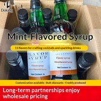Sirop aromatisé menthe verte OEM Dunhuang 1L – Base pour cocktails, vin, eau pétillante – Matière première saveur fruits bleus, orange, vanille, Sparcel